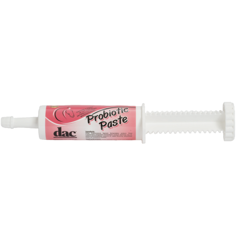 Probiotic Paste 60g