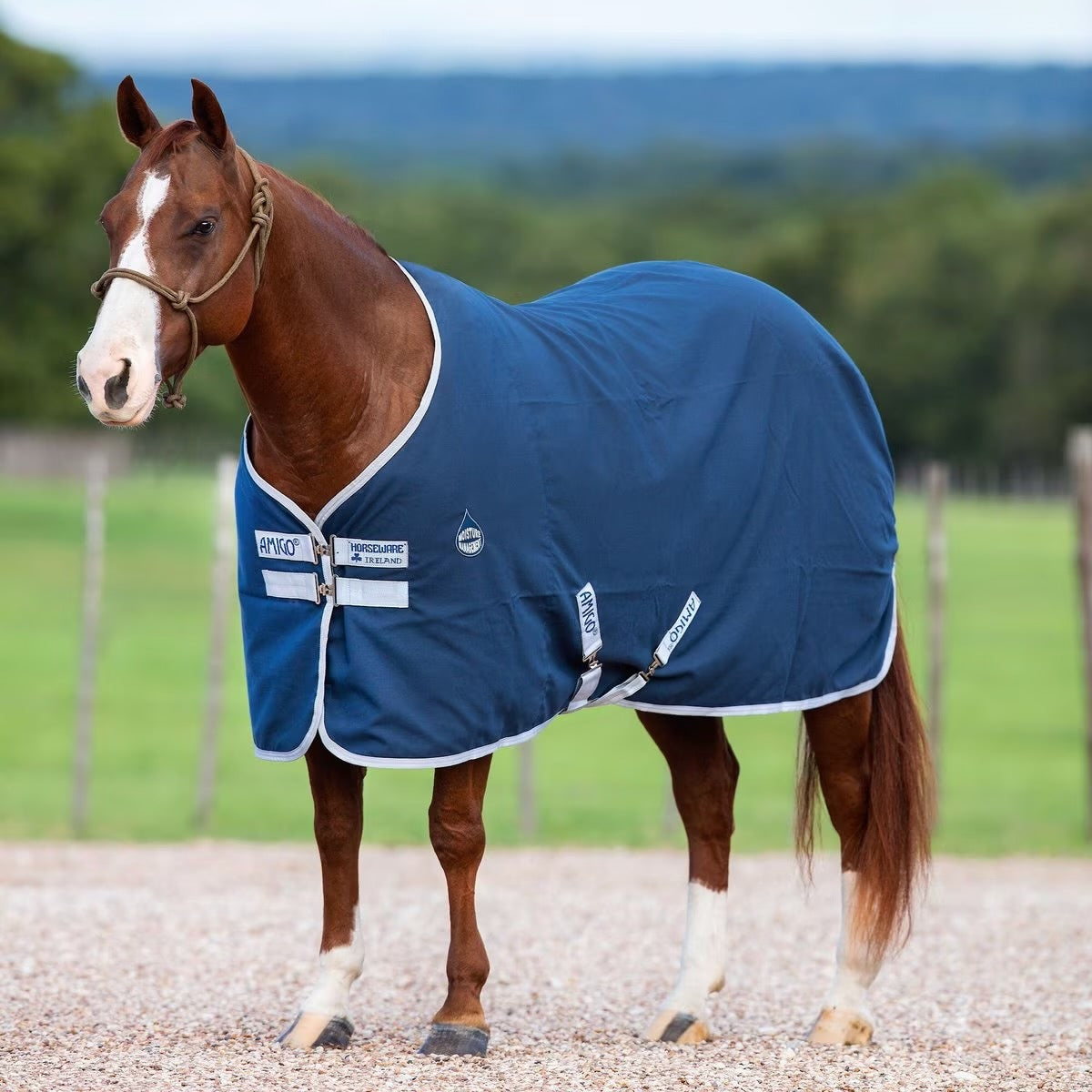 Amigo Horse Stable Sheet, Navy/Silver