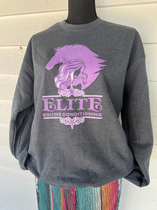 EEC Grey Sweatshirts