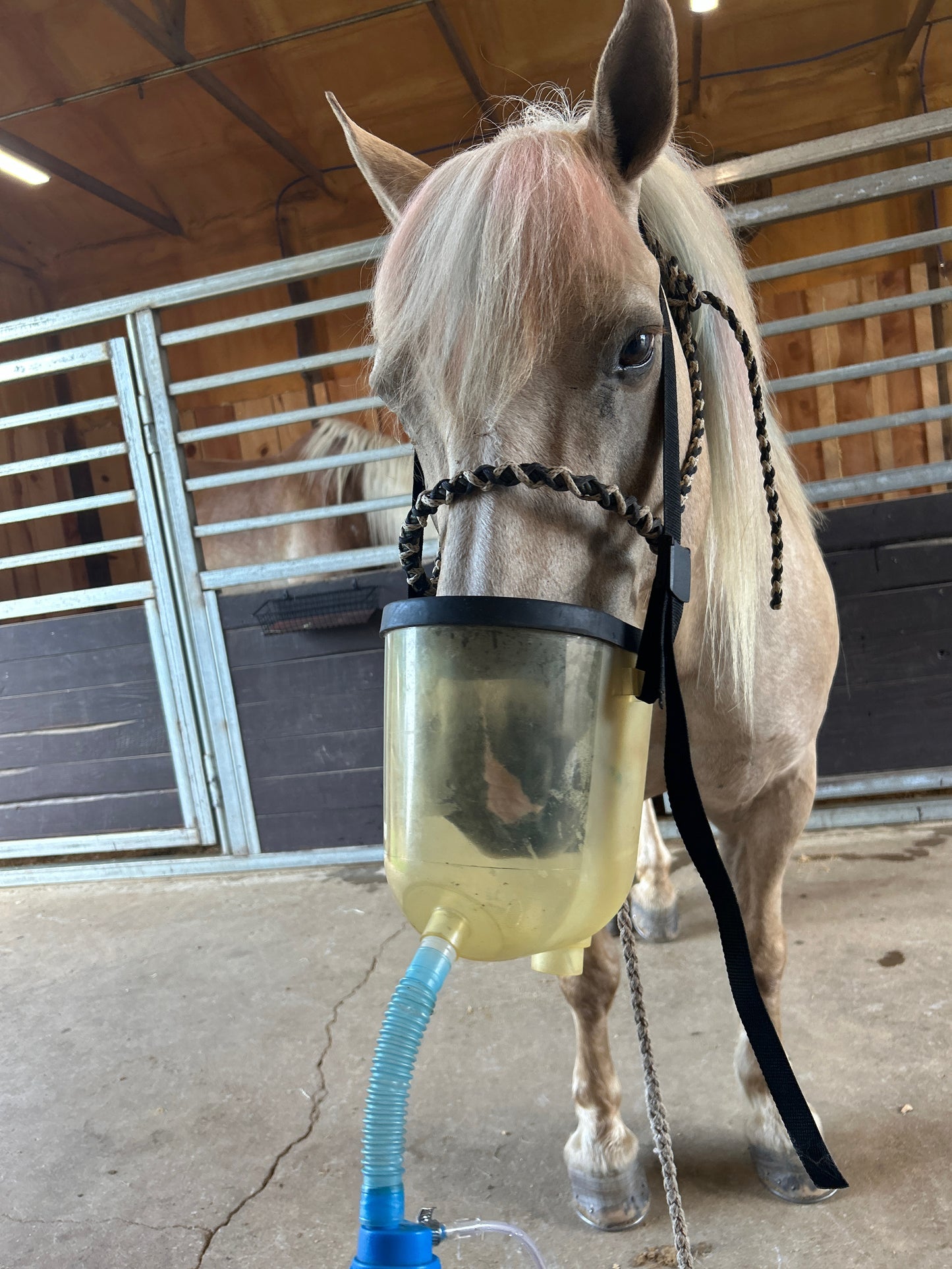 Nebulizer Session