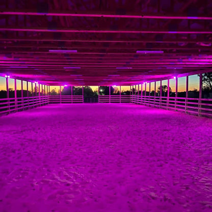 Arena Rentals